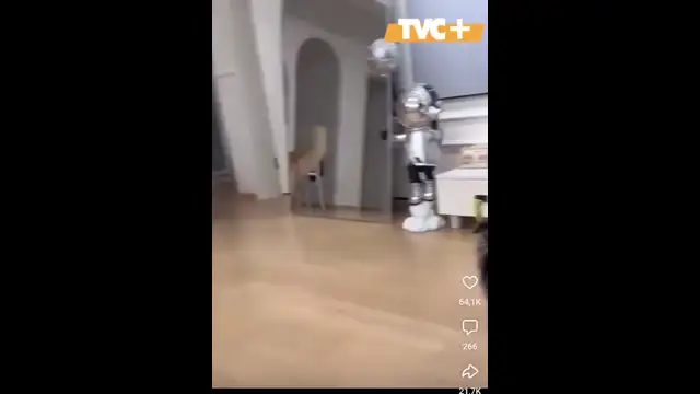 воспитанные